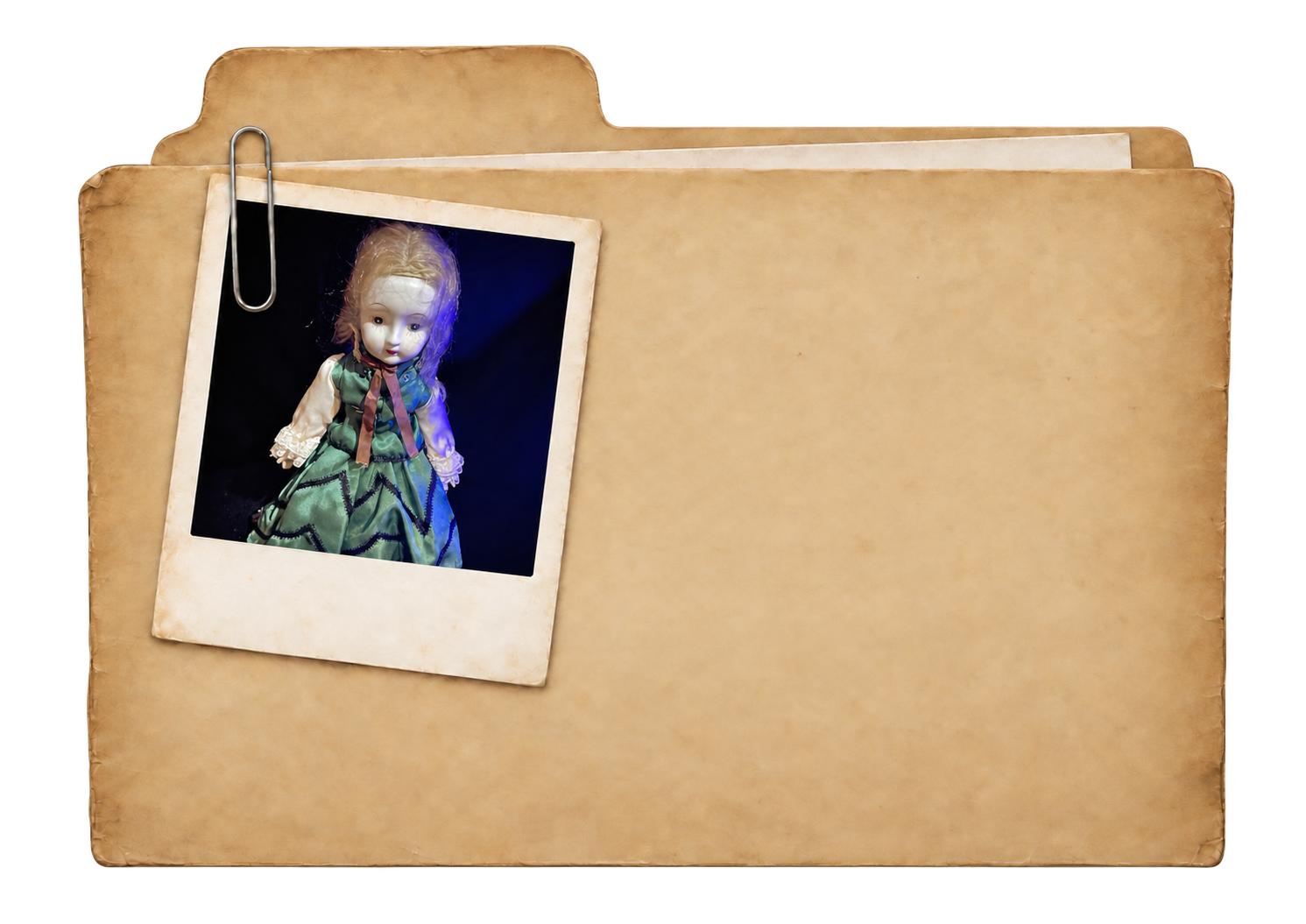 An aged archival folder with a clipped Polaroid photograph of Liza